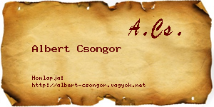 Albert Csongor névjegykártya